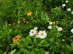 -国际非物质文化遗产博览园