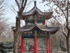 -燕郊植物园