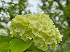 -白塘生态植物园