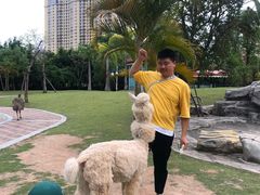 -灵玲国际马戏城