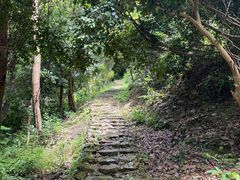 -雁荡山三折瀑景区