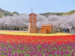 -苏州上方山国家森林公园