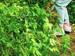 -南京市无想山景区