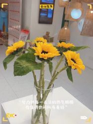 -水沐莲清瑜伽·普拉提