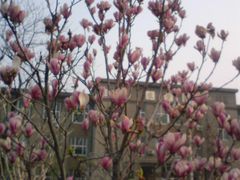 -山东农业大学(岱宗校区)