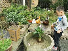 -临江宴餐厅·桐庐菜(富春江店)