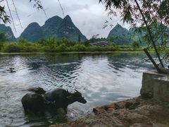-靖西鹅泉风景区