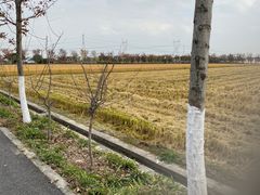 -嘉北郊野公园