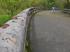 -西湖风景区-江洋畈生态公园