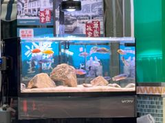 -華歡冰室-WahFoon(吉大店)