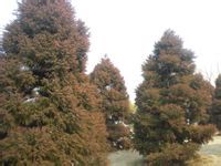 -白塘生态植物园