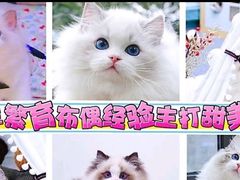 -Bastet sally猫舍购宠(静安店)
