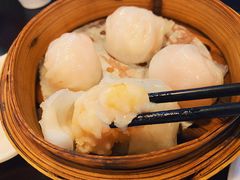 添运来虾饺皇-添运来(茶园奥园广场店)
