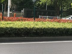 -南京财经大学(仙林校区)