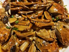 六月黄炒年糕-马头巷·食景园(苏州总店)