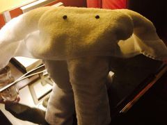 iphone_upload_pic-广州天河希尔顿酒店