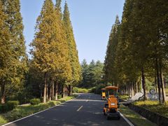 -宜兴龙背山森林公园