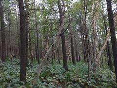 -白草畔自然风景区