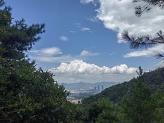 -大奇山国家森林公园