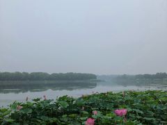 -素心小筑(后沙裕镇店)