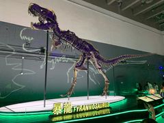 -香港科学馆