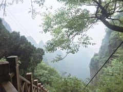 -狼牙山风景区