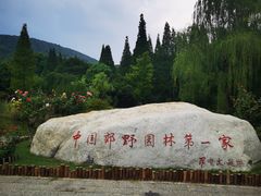 -习家池