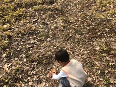 -保利好未来幼儿园·托育园·早教