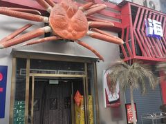 -阿拉斯加·海货(马王堆店)