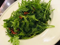 生拌茼蒿-钦善斋(武侯祠店)