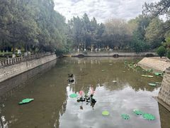 -罗布林卡