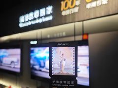 -Sony Store索尼(广州正佳店)