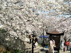 -苏州上方山国家森林公园