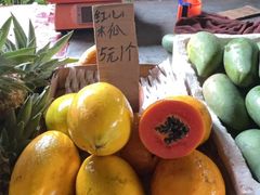 -曼丢傣家古寨