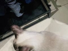 -奇门密室(五一新干线店)