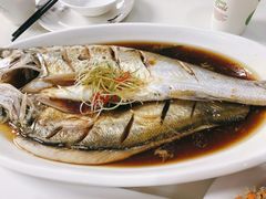 清蒸白鱼-七的湖·晚芳亭·阳澄湖农家菜·大闸蟹(莲花岛店)