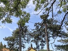 -普陀宗乘之庙