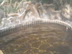-龙达温泉生态城