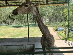 -秦皇岛野生动物园