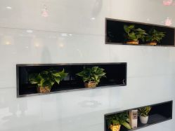 -木北造型