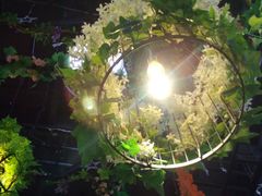 -聚缘·湘味音乐餐厅party(罗湖店)