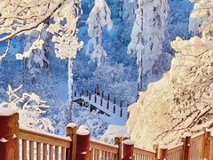 -瓦屋山景区