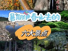 -五营国家森林公园