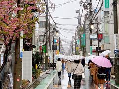 -涩谷全向十字路口