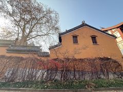 -灵谷景区