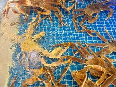 -驻海渔市(置信店)