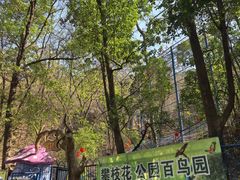 -攀枝花公园