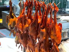 -鸽子侯·家宴·平价海鲜(市图书馆店)