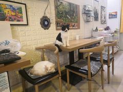 大堂-平行世界·猫咖(首经贸店)