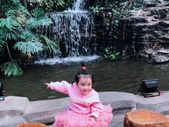 -松记糖水店(铜锣湾分店)